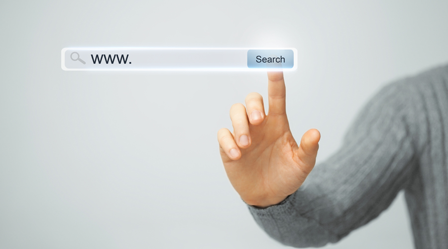 Una persona a la recerca d'informació a Internet (AMIC)