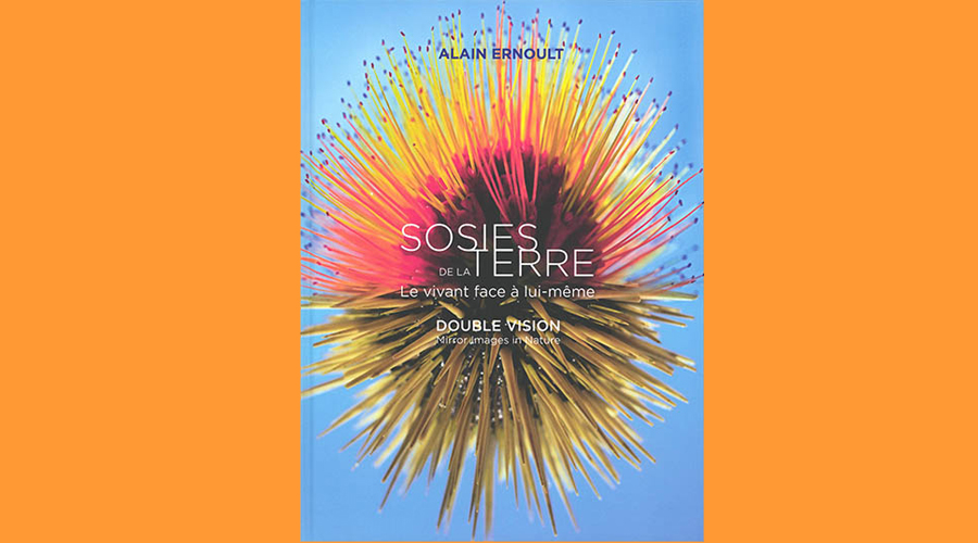 El llibre “Sosies de la Terre” (2021), d'Alain Ernoult