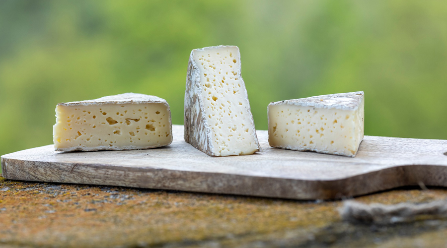 Brunat, el primer formatge fet amb llet de vaca Bruna dels Pirineus