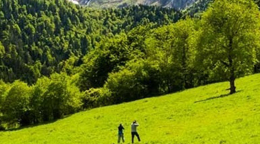 Espai Natural d'Era Artiga de Lin (Foto: CGA / RàdioSeu -arxiu-)