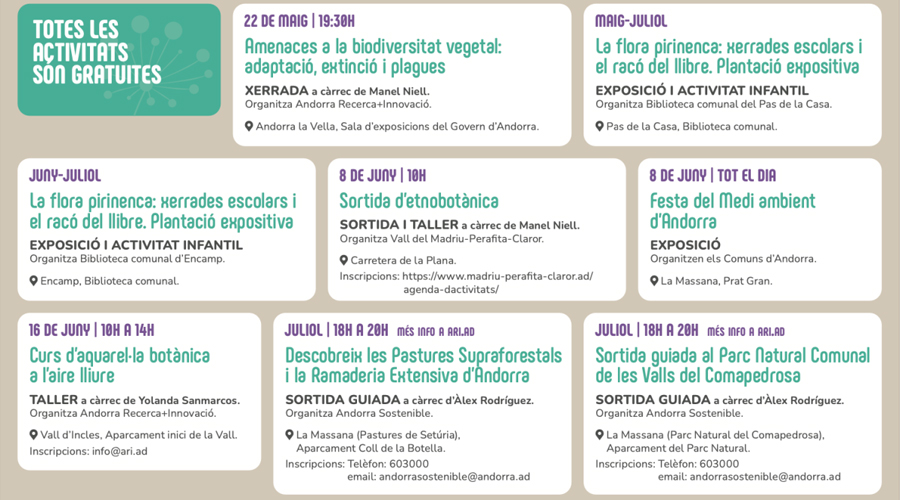 Cartell de FESTI'FLORA