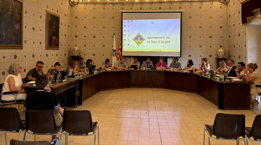 La Seu dona suport amb una moció als malalts d'ELA (RàdioSeu)