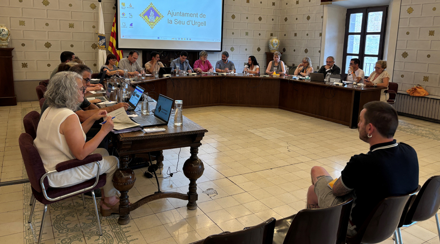 Llum verda del ple del Consistori de la Seu a una modificació de crèdit de 180.000 euros