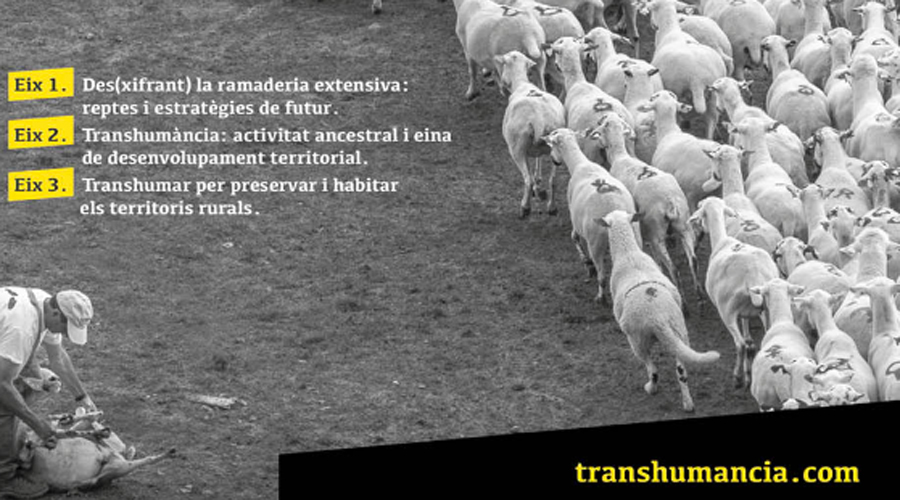 Les actes del II Congrés de Transhumància i Camins Ramaders de Catalunya ja han estat publicades