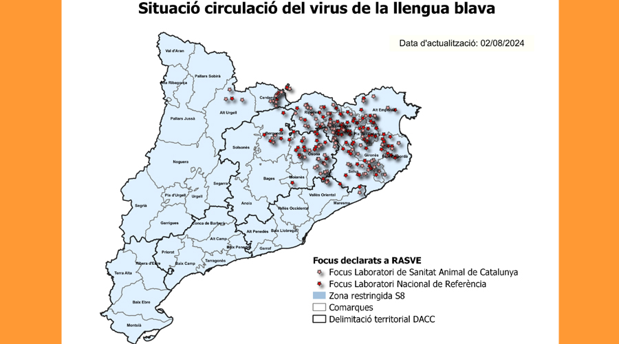 Focus de llengua blava a Catalunya