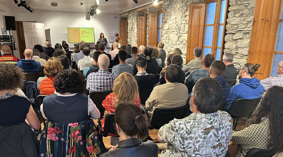 Taula rodona sobre els incendis de sisena generació (Delegació de la Generalitat a Andorra)