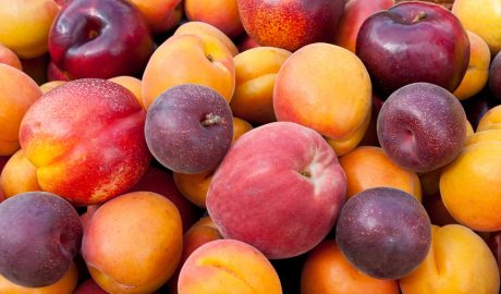 Varietat de drupes