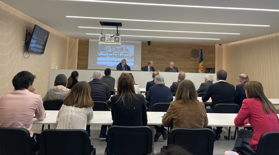 Els participants en la sessió de formació al Consell Superior de la Justícia (CSJ)