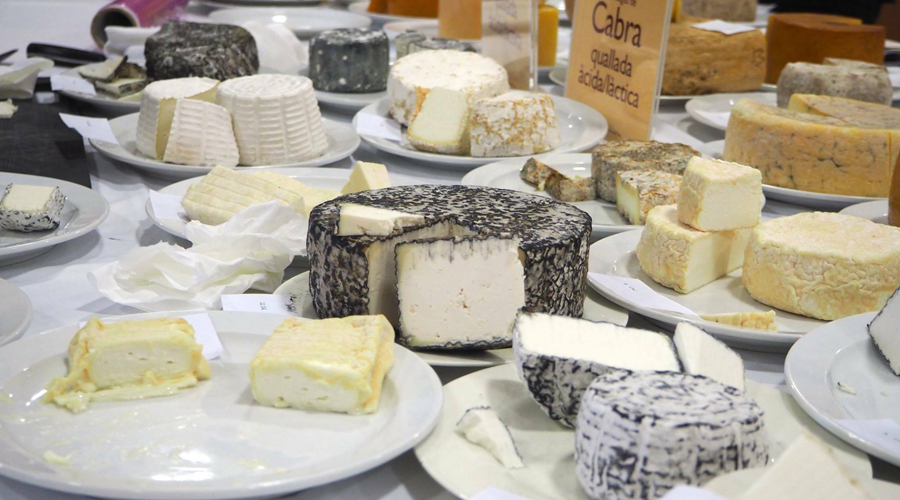 Una gran varietat de formatges (RàdioSeu)