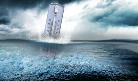 L'augment de la temperatura de l'aigua és a causa de l'escalfament global
