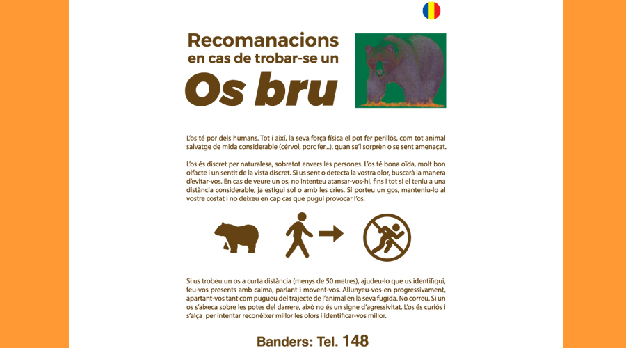 Recomanacions per a qui es pugui trobar amb un os (SFGA)