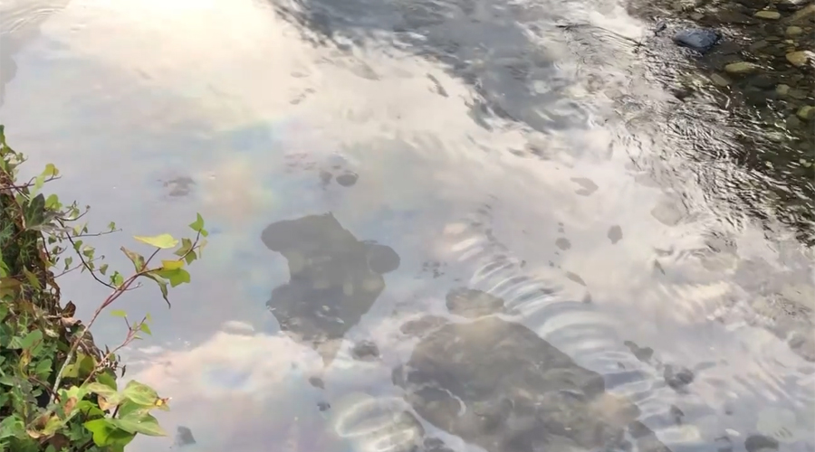 A la imatge es poden veure les taques d'hidrocarbur al riu (AndorraDifusió)