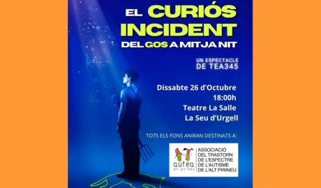 Teatre a la Seu amb 'El curiós incident del gos a mitjanit'