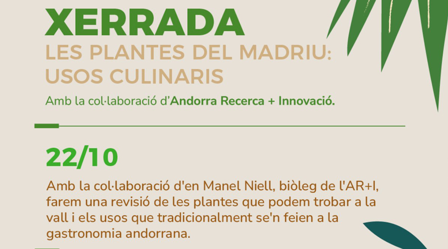 Cartell anunciador de la xarrada a càrrec de Manel Niell (AR+I)