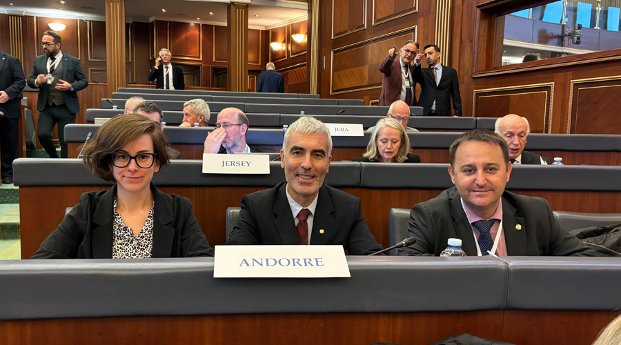 Núria Segués, Marc Magallon i Pere Marsenyach (Consell General)