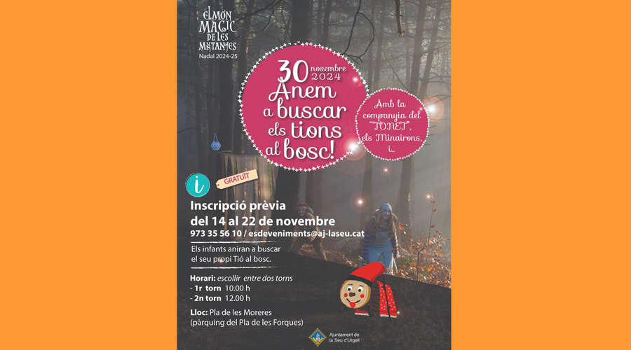 Arrenquen les activitats prèvies del Nadal a la Seu (Aj. la Seu)