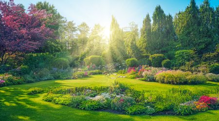 Un jardí ben cuidat i bonic amb plantes i flors