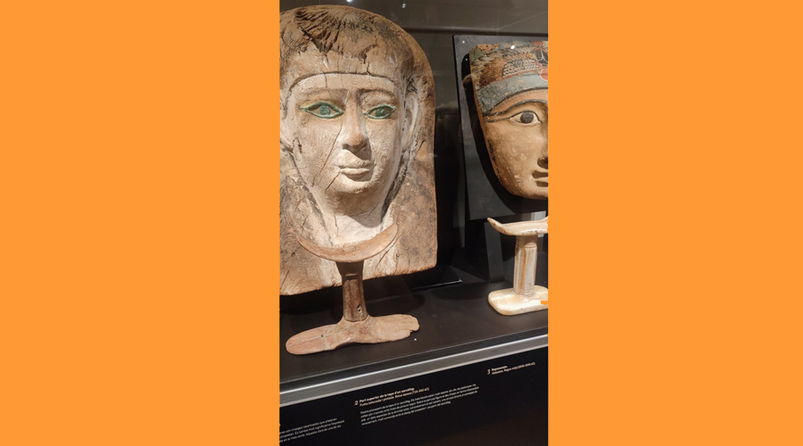 Peces que es poden visitar al CAEE. Foto: Julià Rodríguez