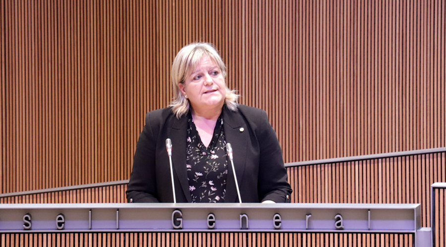La consellera general Demòcrata, Berna Coma, durant la seva intervenció (Consell General)