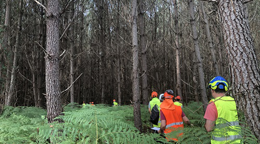 Un dels projectes vol qualificar i actualitzar els coneixements dels professionals dedicats a la gestió forestal dels boscos (Govern.cat)