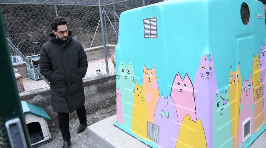 El ministre, Guillem Casal, al costat del Cortal de gats", un refugi per als felins (SFGA)