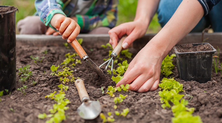 Un adult i un infant treballant en un jardí (AMIC)