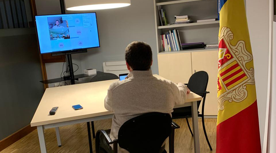 Xavier Cañada durant la reunió telemàtica (Raonador del Ciutadà)