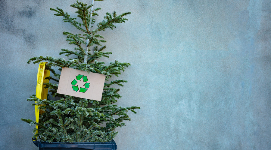 Reciclar l'arbre de Nadal (iStock)