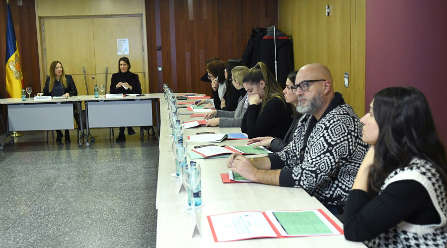 Al fons, la ministra Helena Mas i la secretària d'Estat de Salut, Cristina Pérez, presidint la reunió (SFGA)