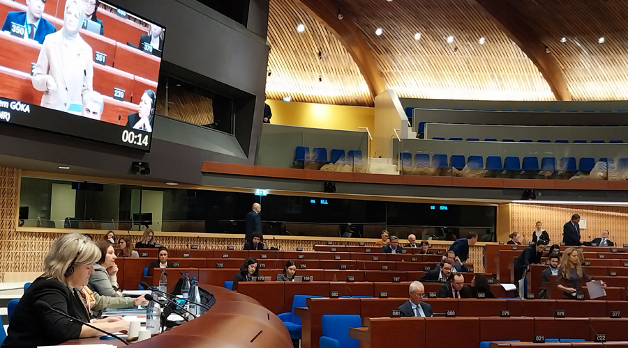 A l'esquerra de la imatge, la consellera general, Berna Coma, a la sessió d'hivern de l'APCE (Consell General)