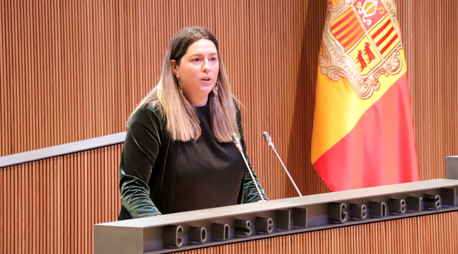 Maria Martisella durant la seva intervenció (Consell General)