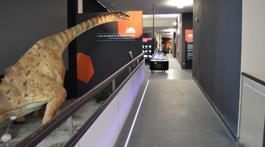 Museu Dinosfera de Coll de Nargó (Foto: RàdioSeu / arxiu)