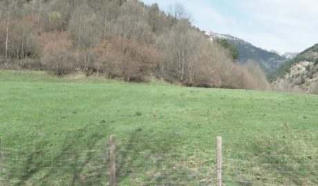 La finca d'Ordino on s'havia d'instal·lar Grifols