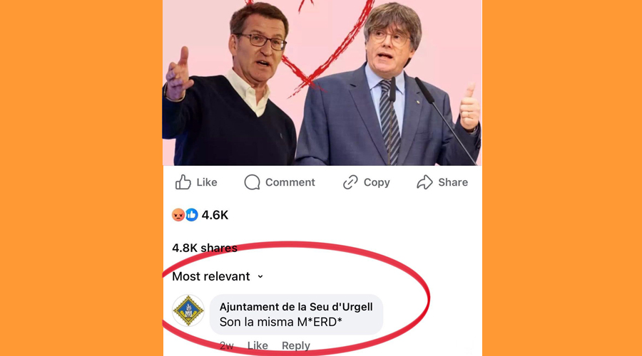 Captura de l'insult al Facebook des del compte institucional de l'Ajuntament de la Seu (Junts per la Seu)