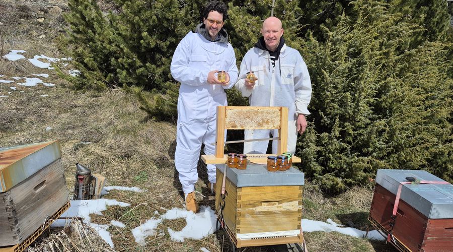 Guillem Casal a l’explotació agrícola d’Autèntic Abelles (SFGA)