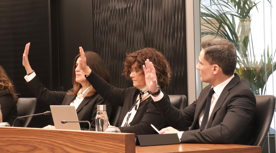 Els representants de Demòcrates, a Escaldes, amb Gemma Bofarull al centre de la imatge (Demòcrates)