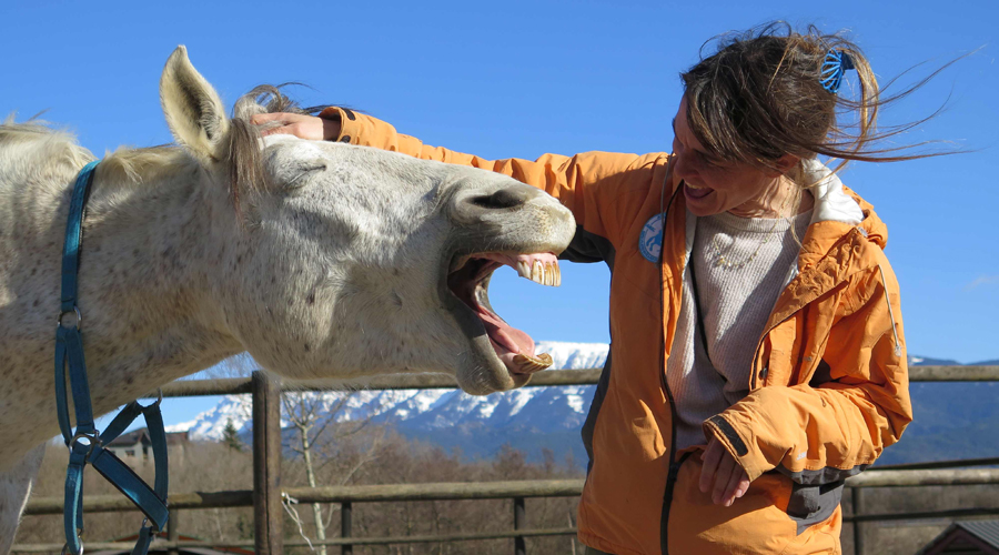 Una de les participants al curs d'odontologia equina (Escola Agrària del Pirineu)