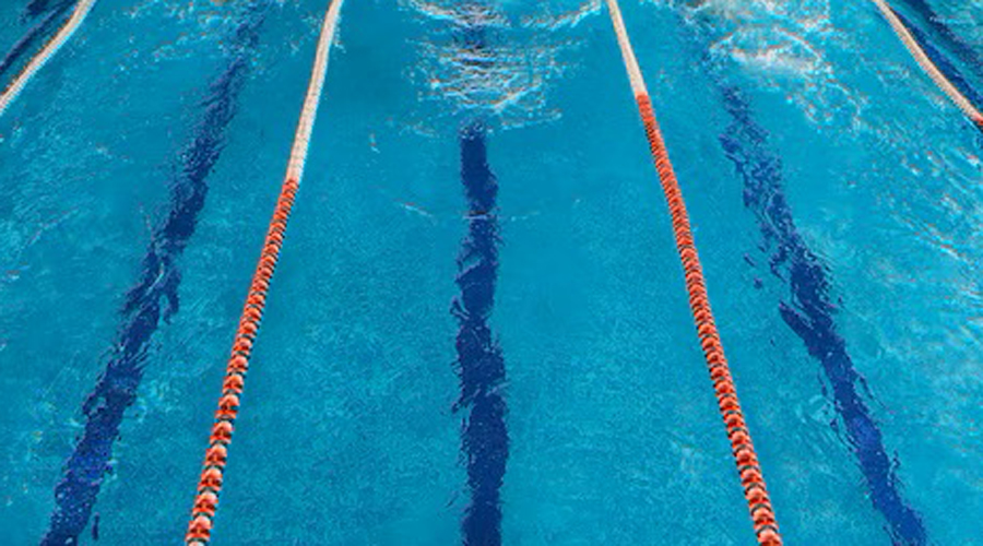 Al trofeu hi han pres part 118 participants (Freepik)