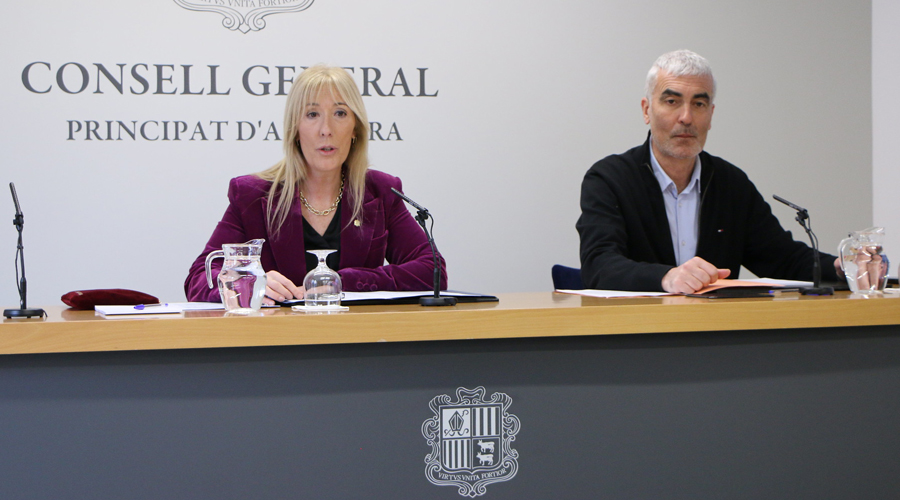 Sandra Codina i Marc Magallon (Consell General)