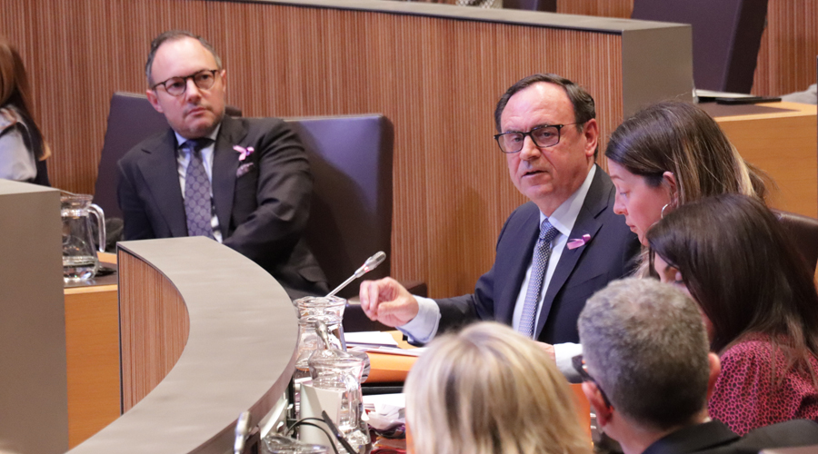 A l'esquerra, Xavier Espot, i al centre, Jordi Jordana, president del GP Demòcrata, durant la sessió parlamentària (Consell General)