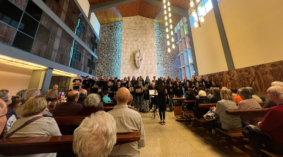 La Seu va gaudir d'un nou concert d'Encoratjades. Foto: Cedida