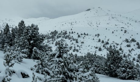 Imatge de Grandvalira, aquest dimecres