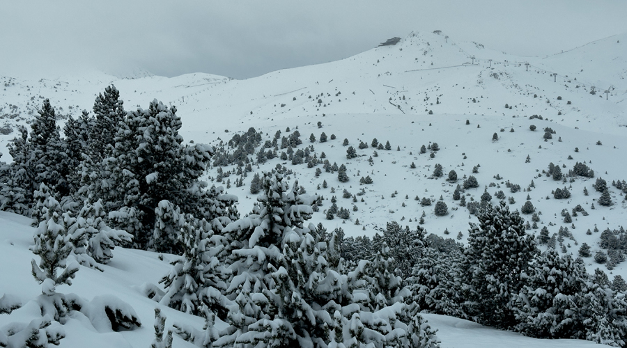 Imatge de Grandvalira, aquest dimecres. Foto: Cedida