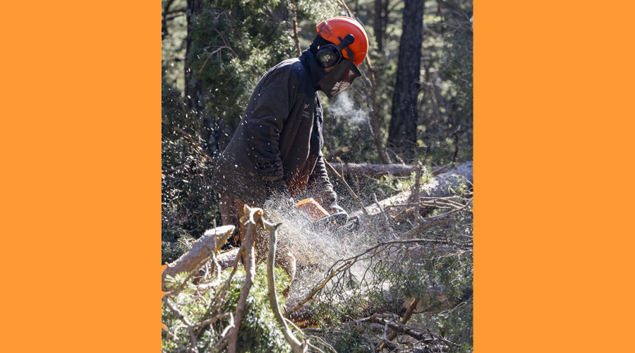 Un motosserrista exercint les seves tasques (Integra Pirineus)