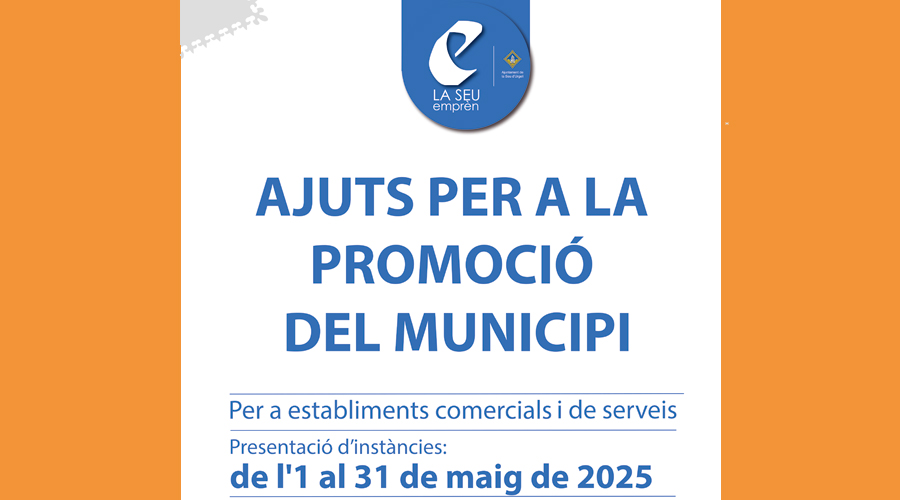 Cartell anunciant la convocatòria de les subvencions (Aj. la Seu)