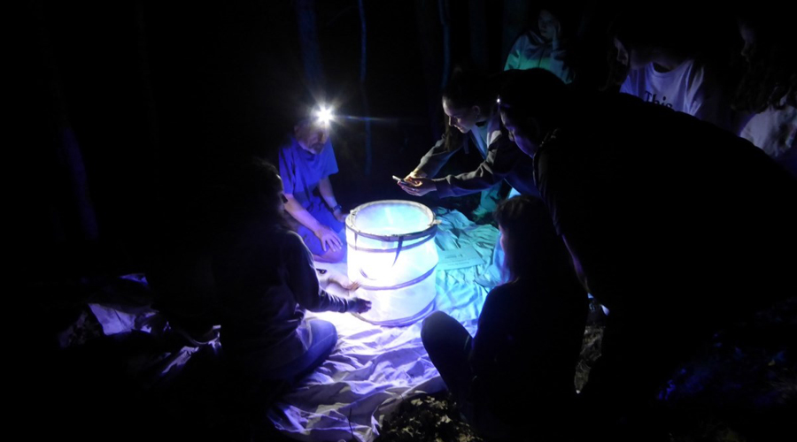 Una observació nocturna de papallones en una edició anterior (AR+I)