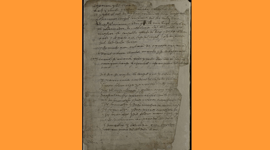 L'equip responsable ha finalitzat els treballs de transcripció del Llibre II (Consell General)