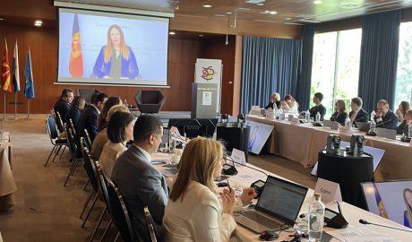 La ministra, Helena Mas, participant de forma telemàtica a la reunió