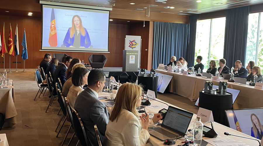 La ministra, Helena Mas, participant de forma telemàtica a la reunió (SFGA)