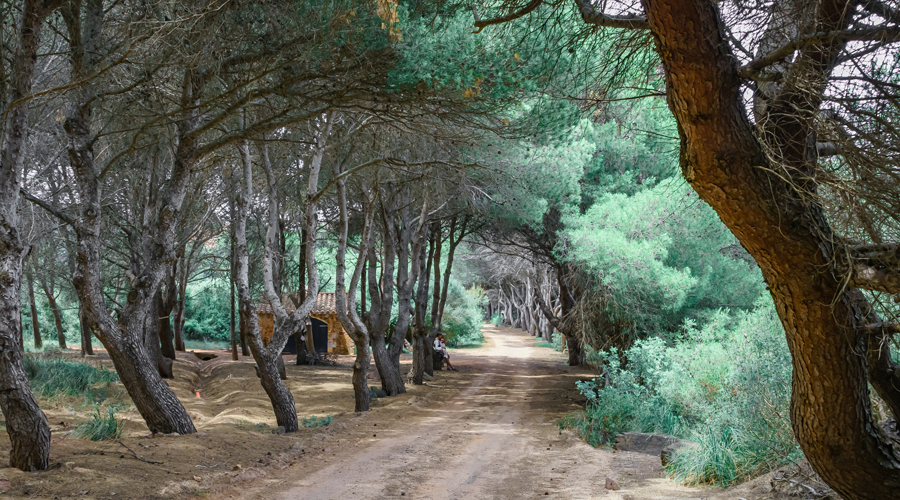 Un dels paratges de la Ruta dels Cavalls, a Menorca (Getty images)
